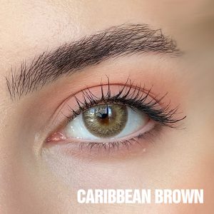 Caribbean Brown - Image 2