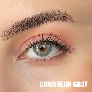 Caribbean Gray - Image 2